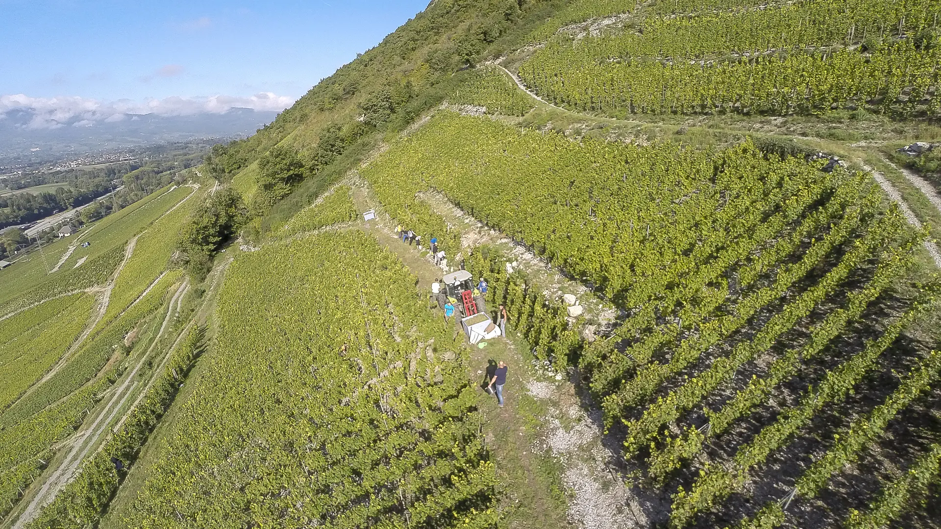 Combe des Grand vignes