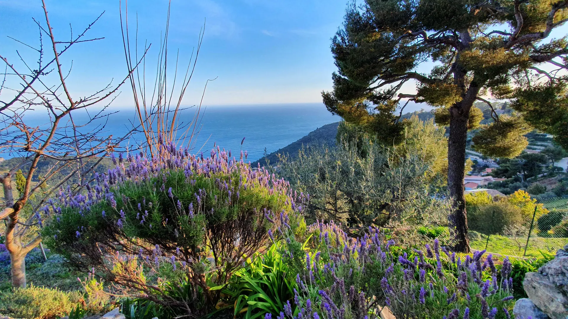 Gîte Villa Bel Horizon-Jardin des propriétaires-Eze-Gîtes de France des Alpes-Maritimes