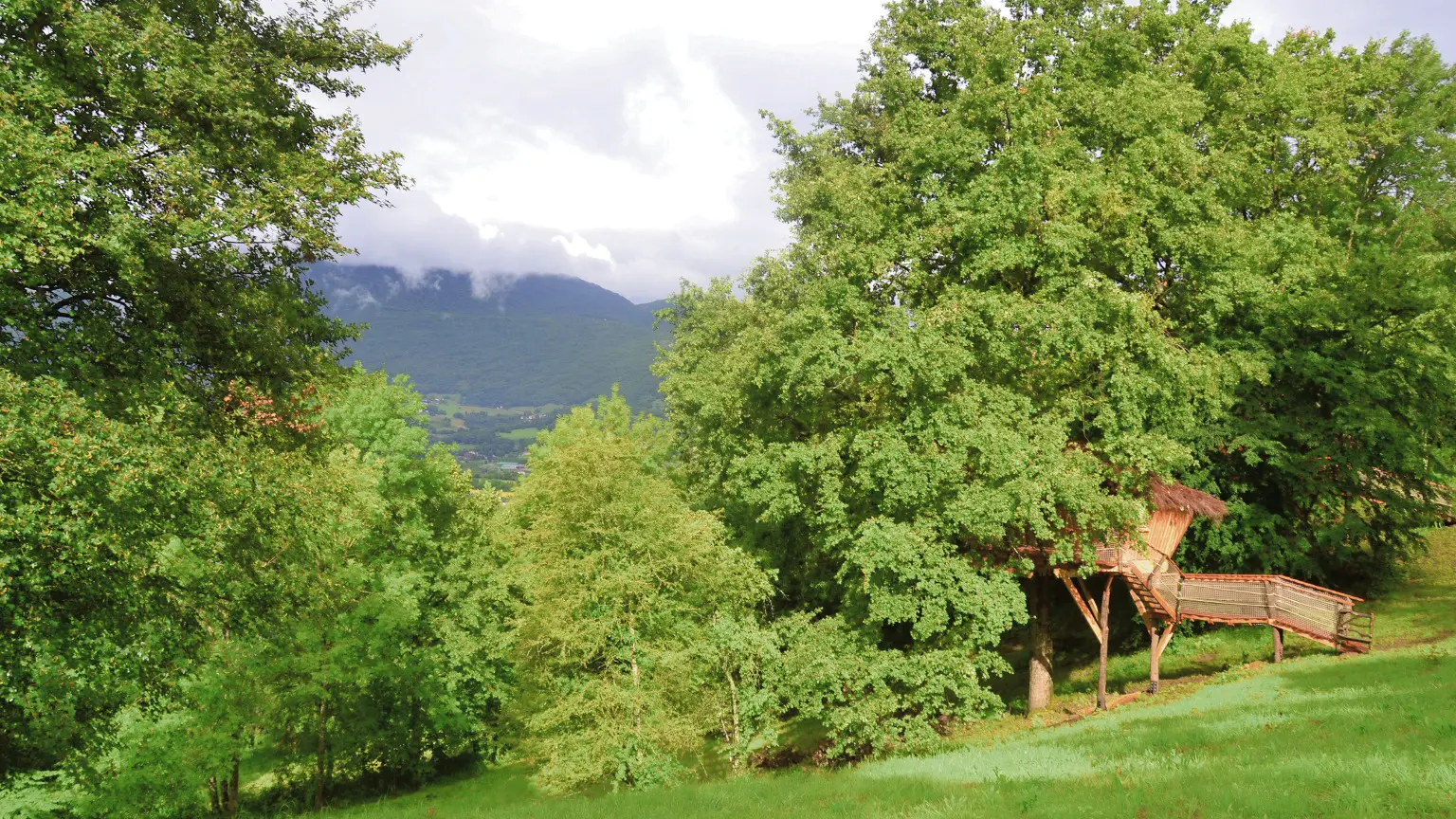 Les 2 cabanes, Cabane Lune de Miel et Cabane pain d'épices vues du pré sous les chênes