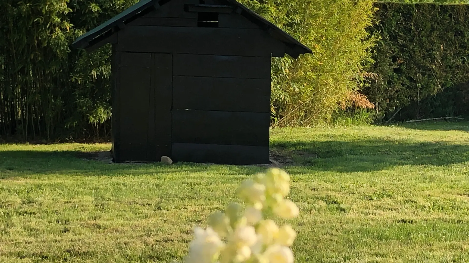 Cabane dans le parc pour les enfants