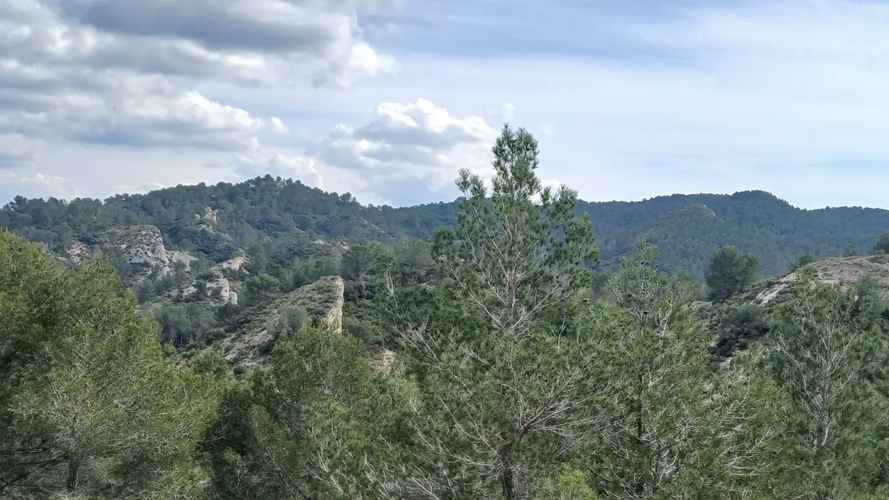 La Lèque_Saint-Rémy-de-Provence