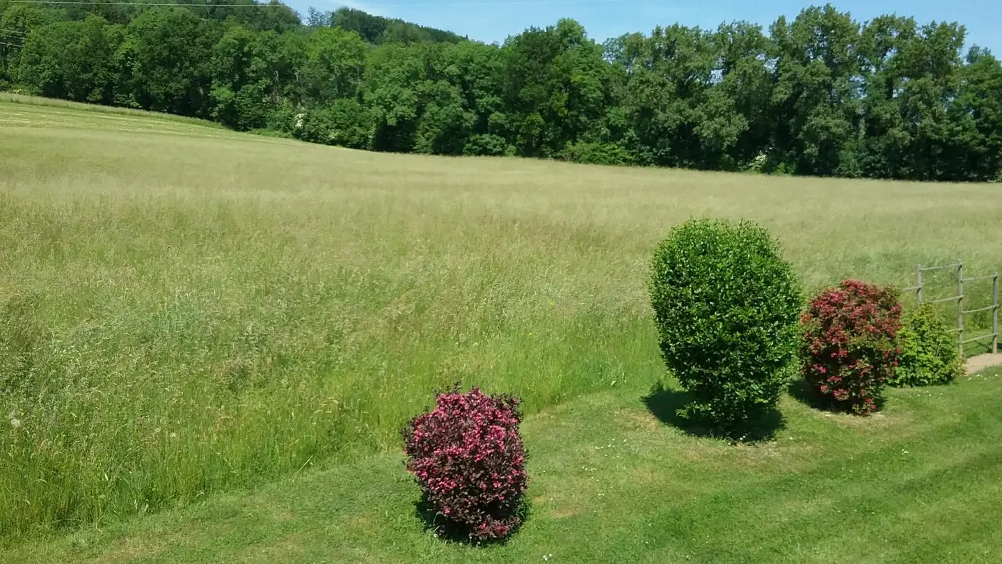 Vue depuis la Terrasse.