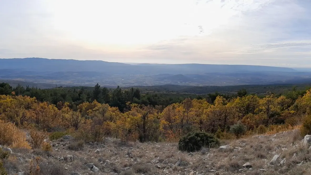 Vue vers le sud depuis le Cluyer