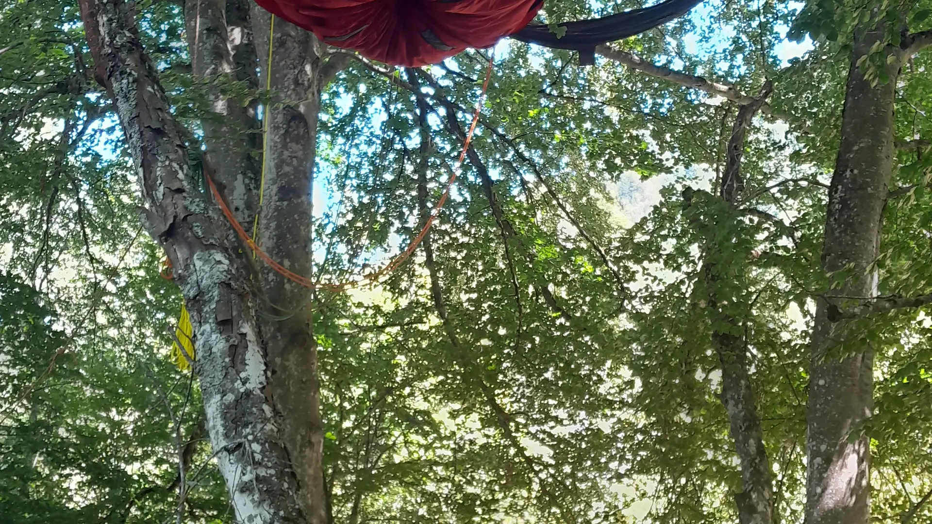 Tente suspendue - Au fil des branches