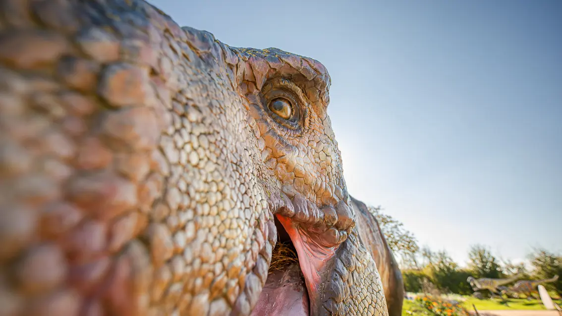 Paléopolis, la colline aux dinosaures_Gannat