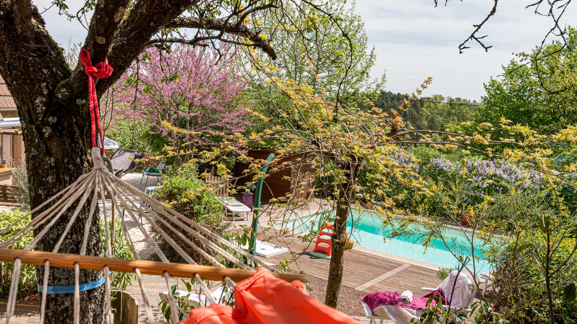 Hamac avec vue sur la piscine et arbre en fleurs dans le jardin arboré