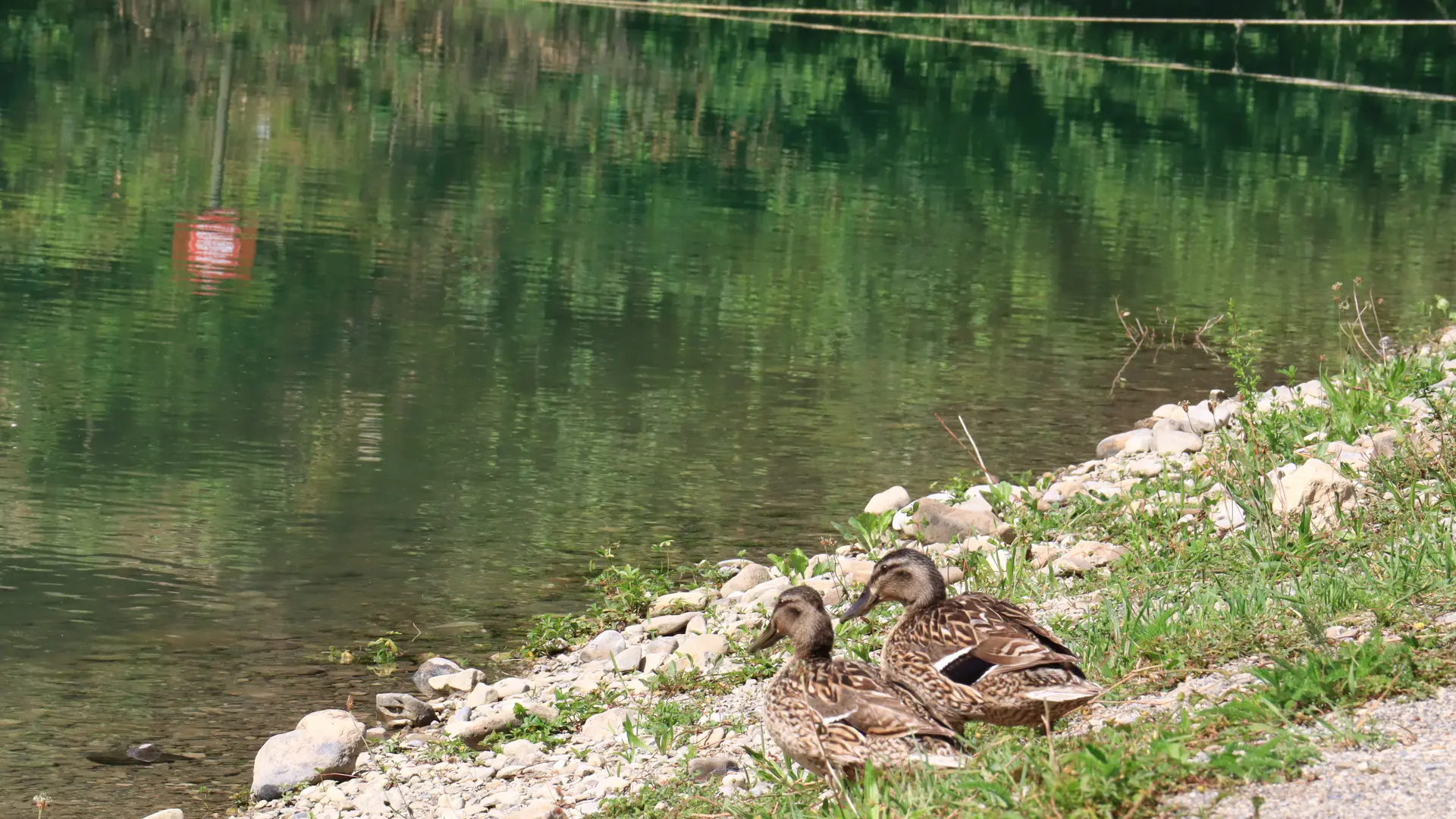 Lac de Thuy - Thônes - Pêche