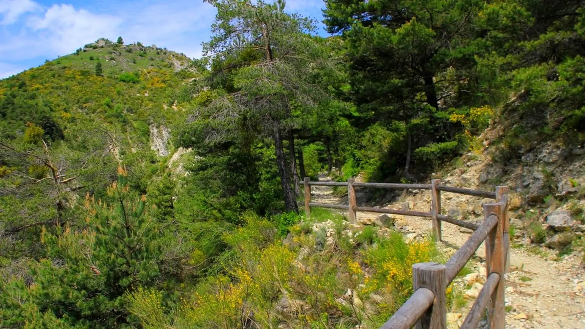 La circulaire de Peyroules