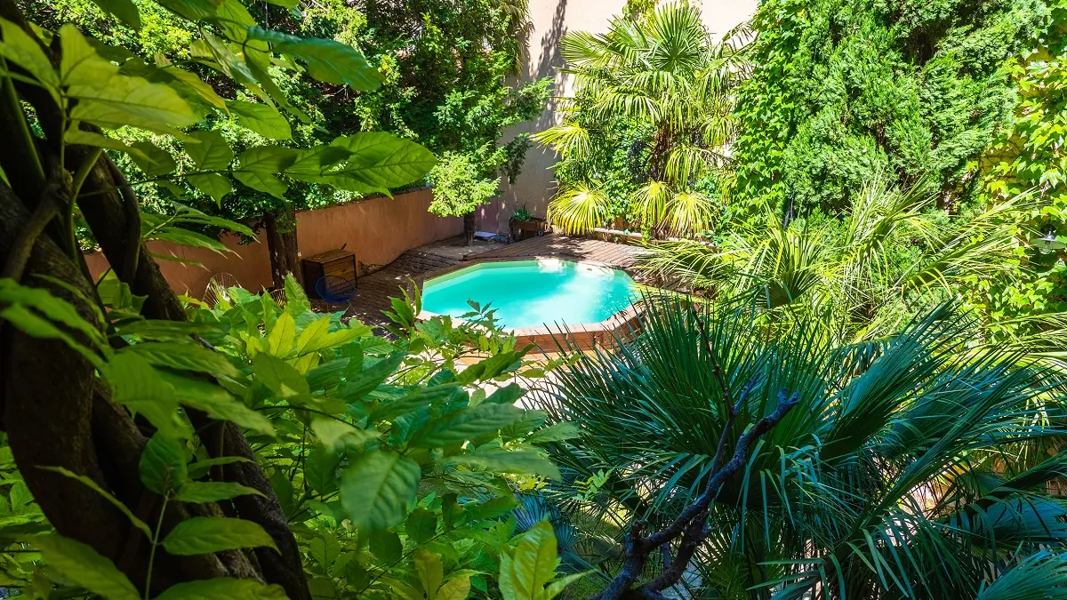 La piscine dans son écrin de verdure