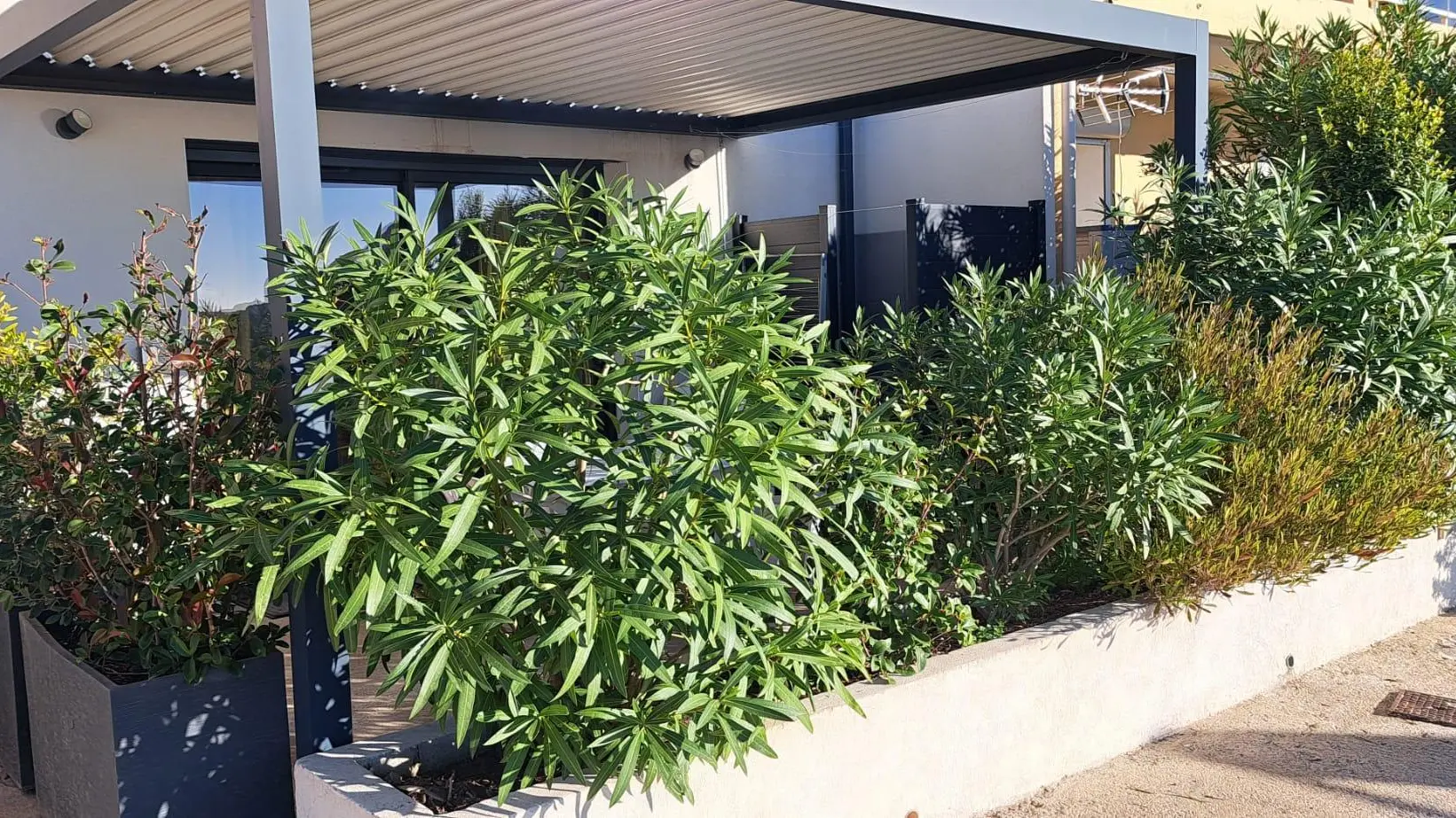 Exterieur, terrasse, pergola et douche