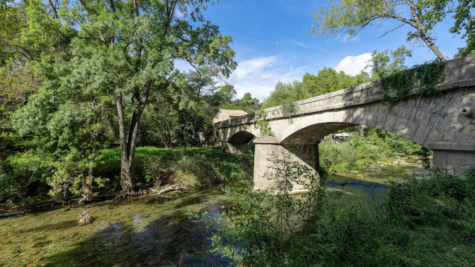 Berge de l'Argens_Correns
