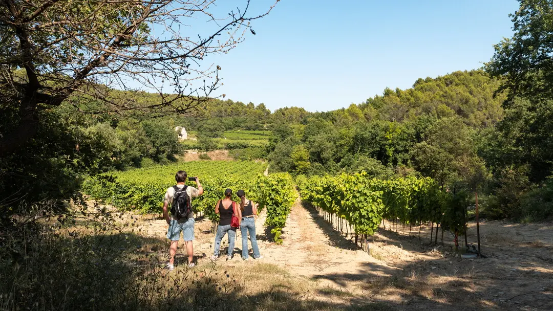 Balade la Parisienne, Velleron