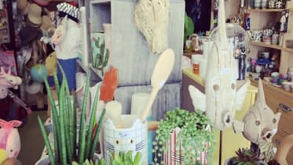 Dans une ambiance chaleureuse et pétillante,