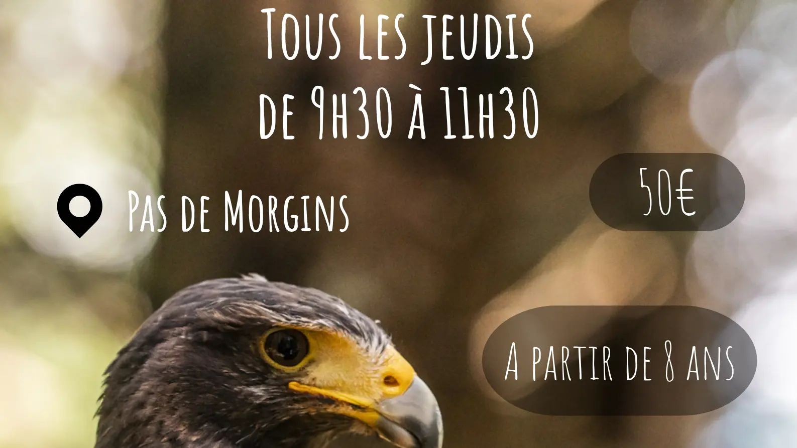 Dans la peau d'un fauconnier_Châtel