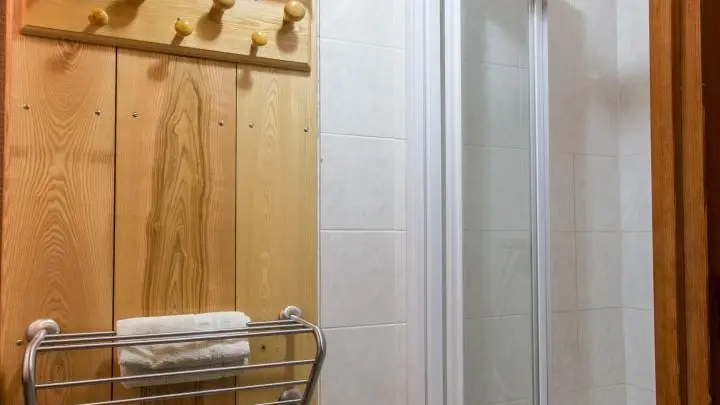 salle de bains avec douche