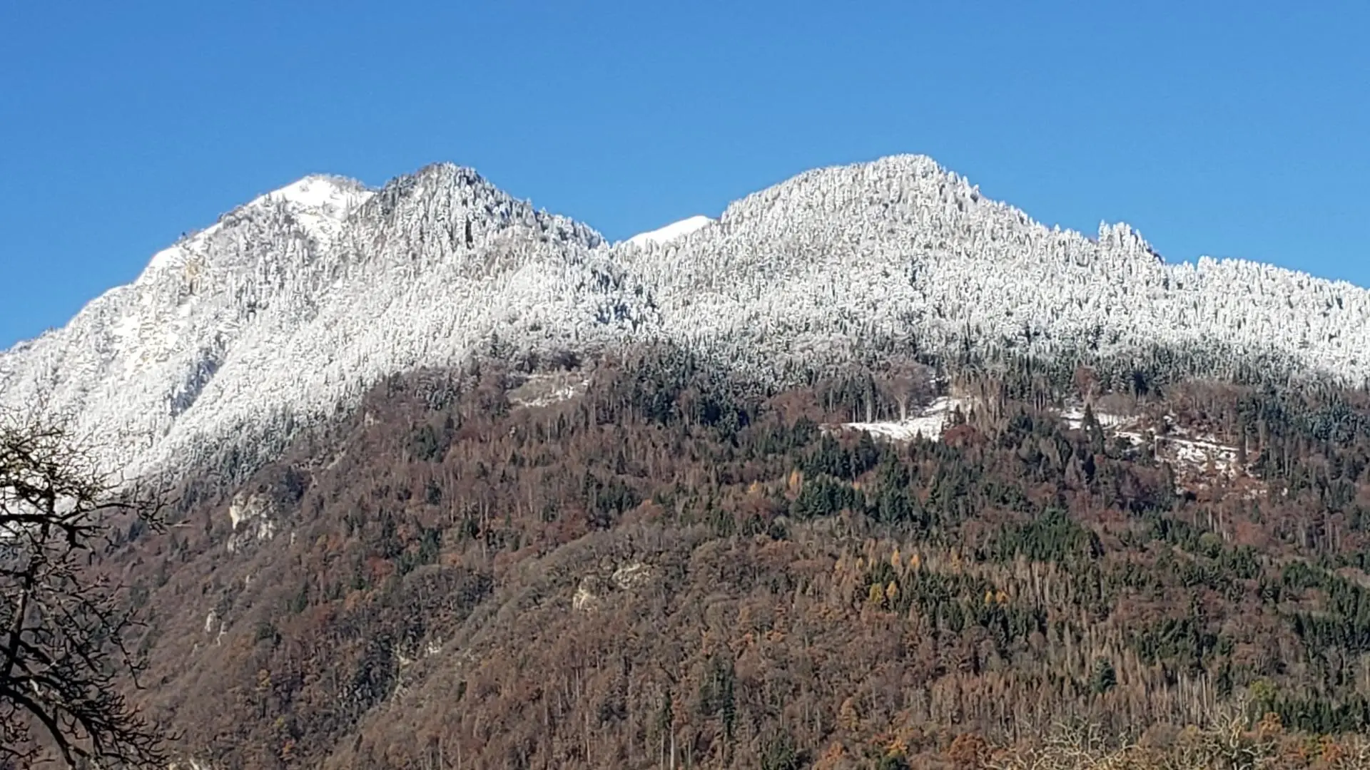 Vue sur le Môle depuis la fenêtre de la cuisine.