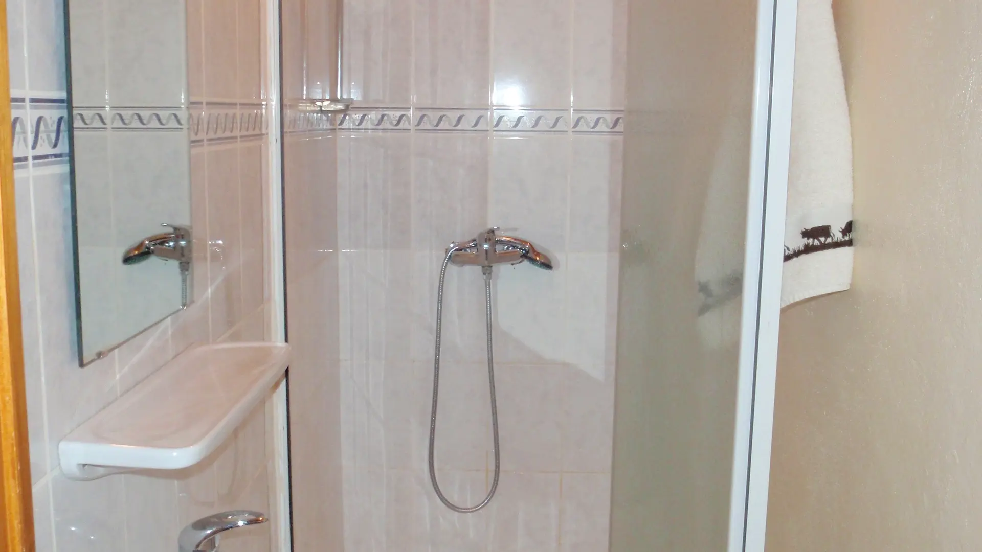 Salle de bain avec douche, lavabo et miroir