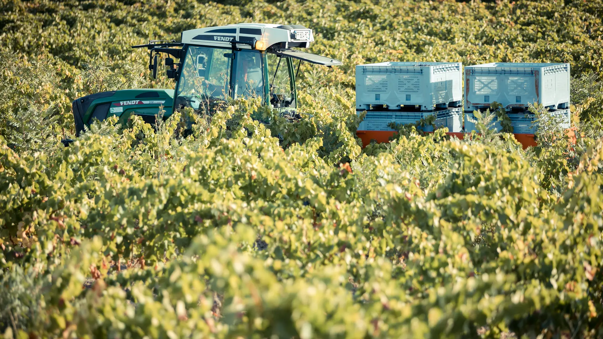 Les vignobles Gueissard