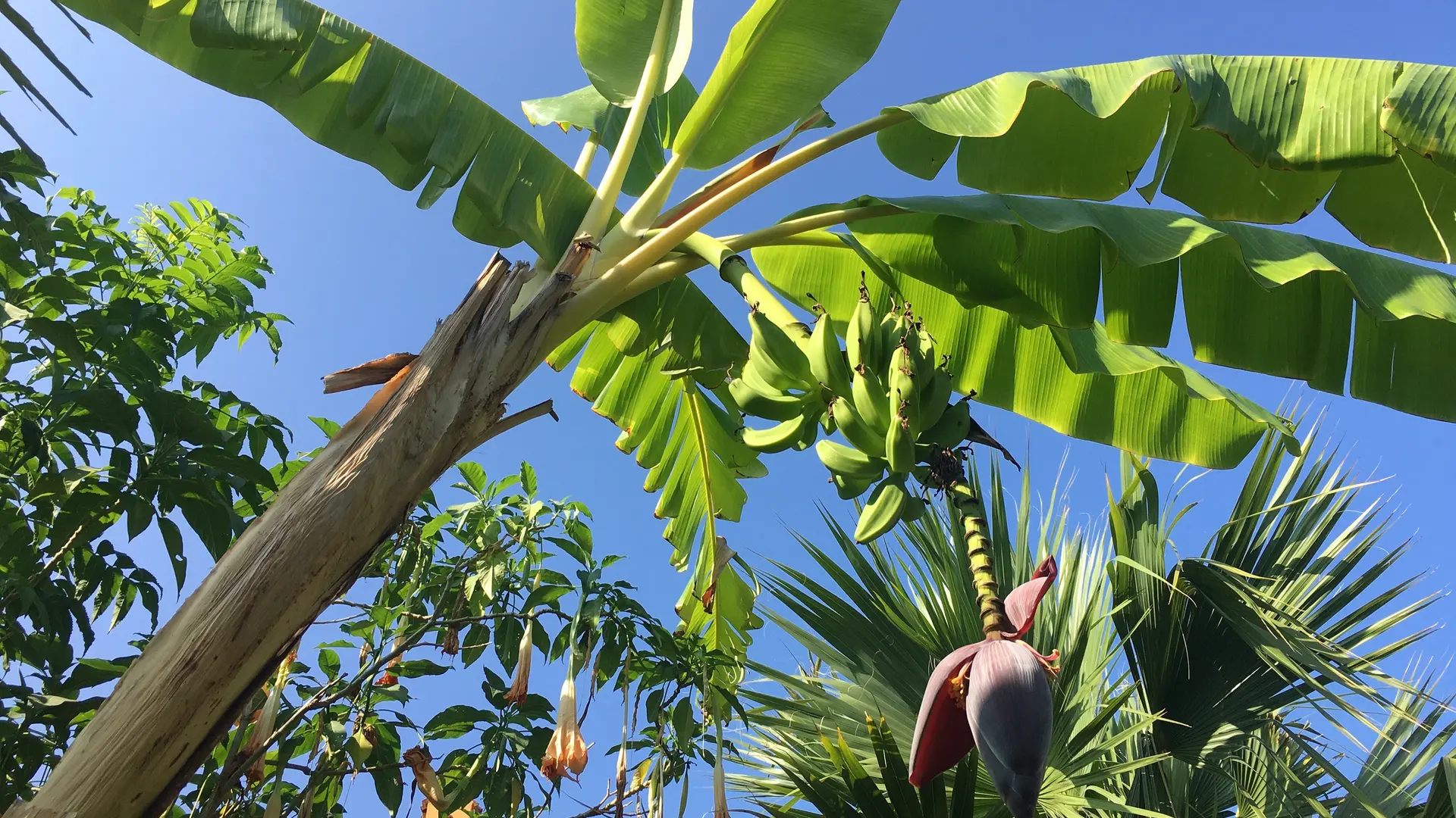 Jardin botanique Val Rahmeh