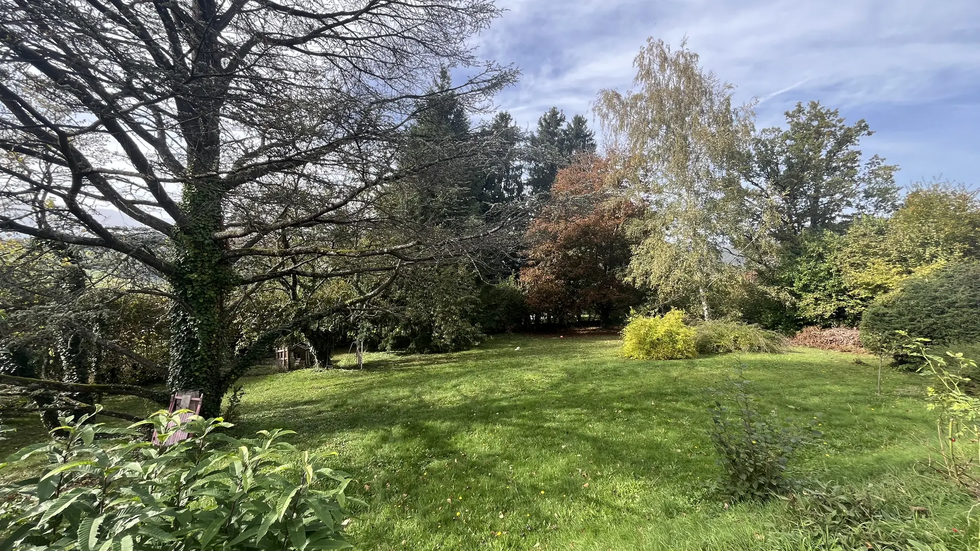 Un jardin verdoyant s'étend devant vous, parsemé d'arbres aux branches dénudées et d'arbustes aux feuilles fraîchement écloses. Le sol est recouvert d'une épaisse couche d'herbe.