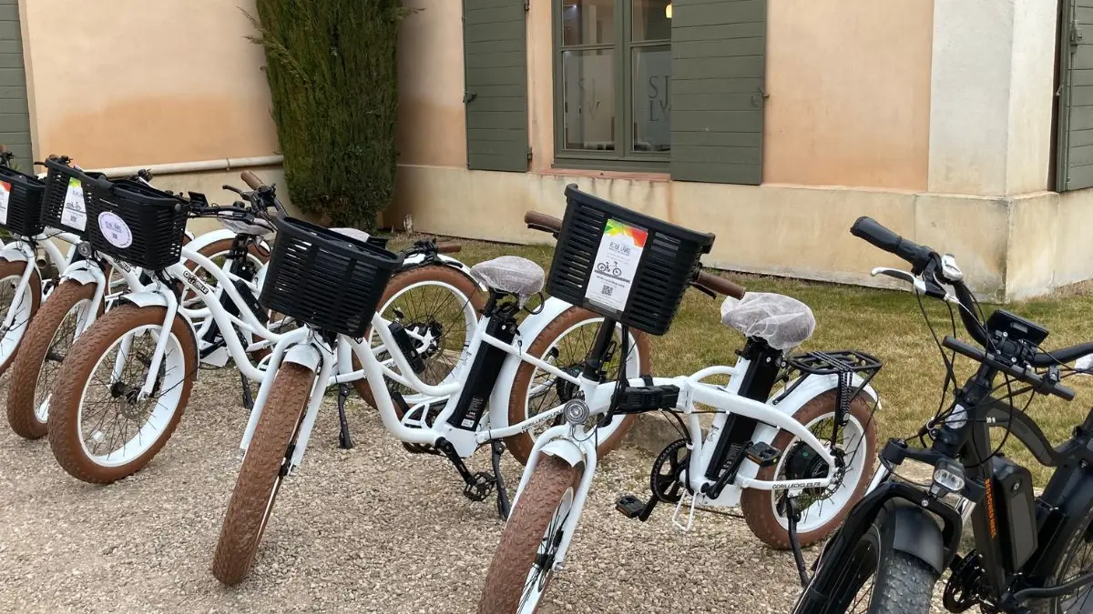 Vélos à assistance électrique