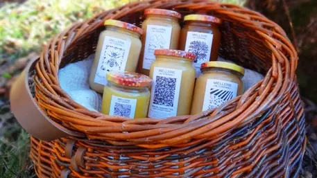 Miellerie de l'Oseraie