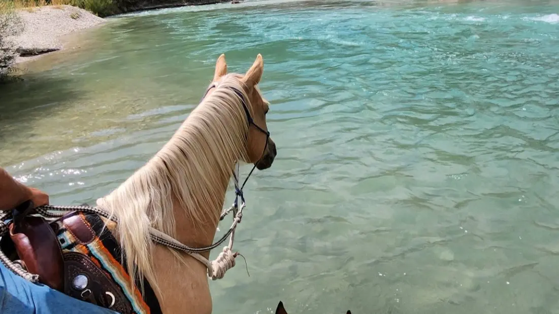 Rando au bord de l'eau