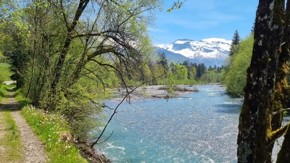 rivière à proximité