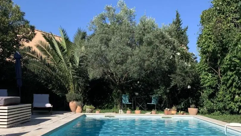 piscine privée 9x4m