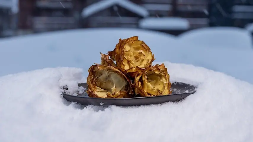 IMA Val d'Isère