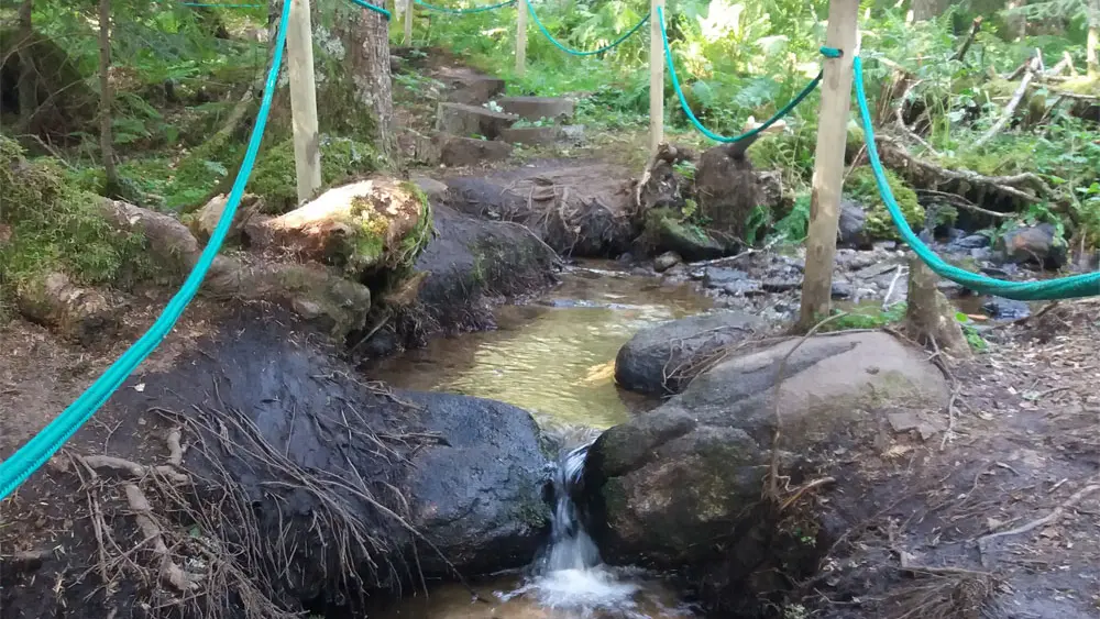Sentier pieds nus - A la découverte de l'eau