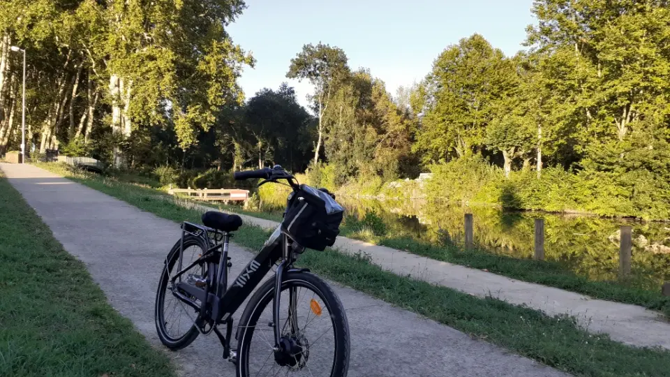 Les chemin de halage sur la voie bleue