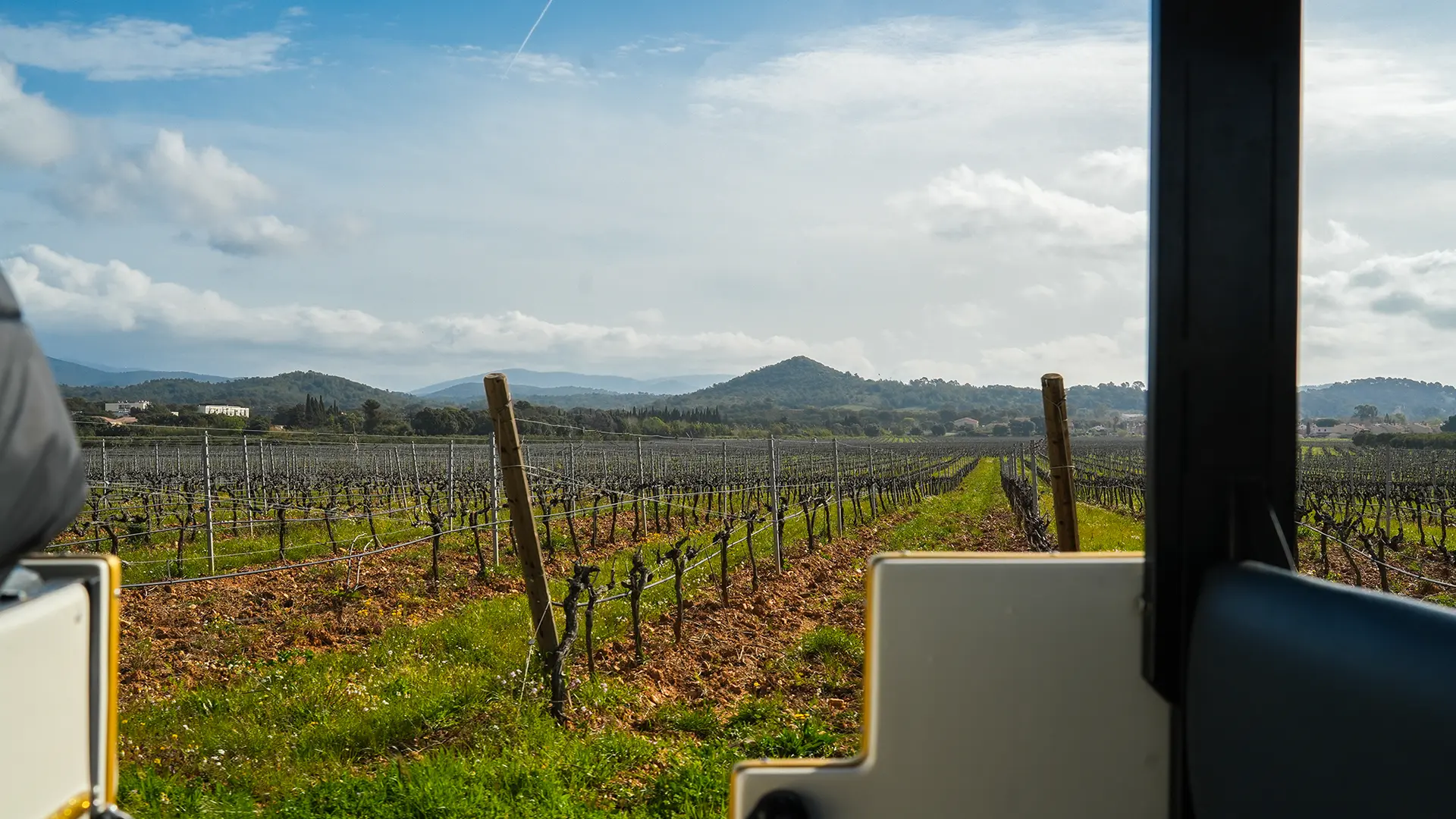 Petit train des vignes - Balade au cœur du terroir londais_La Londe-les-Maures