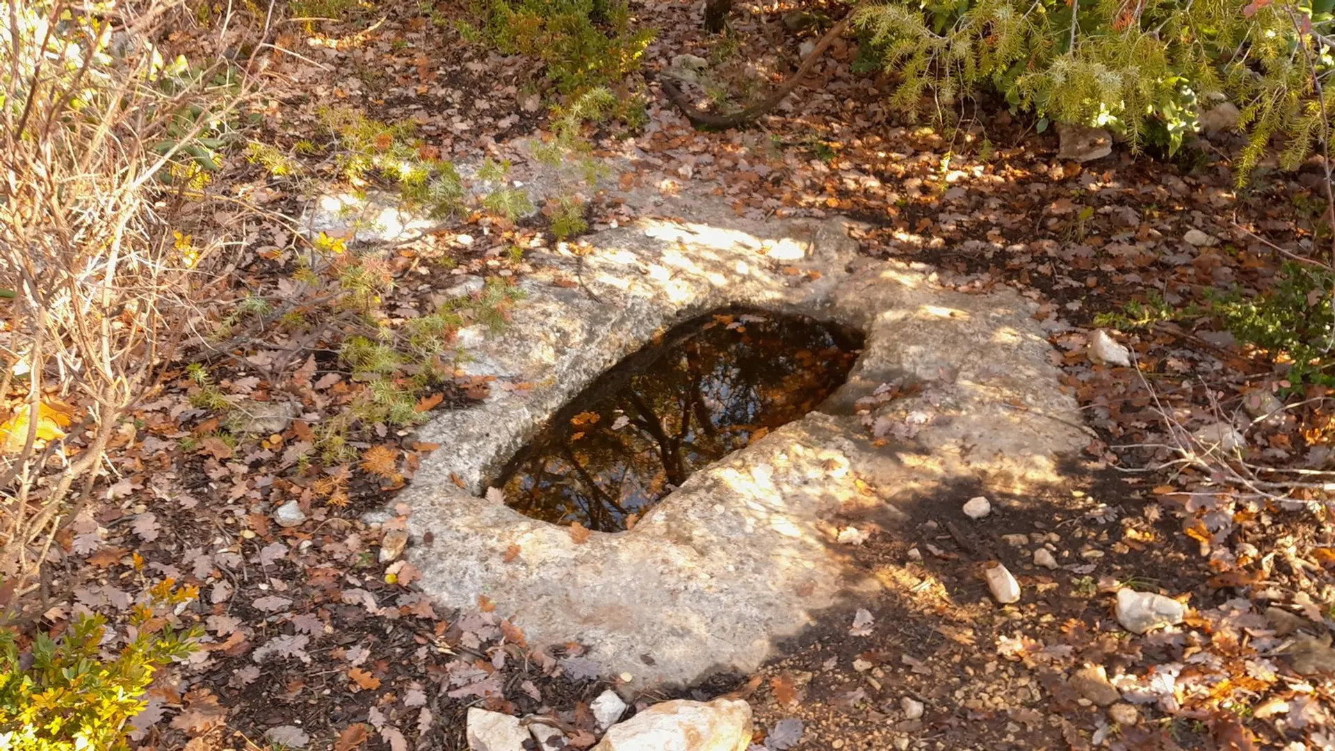 Petit abreuvoir taillé