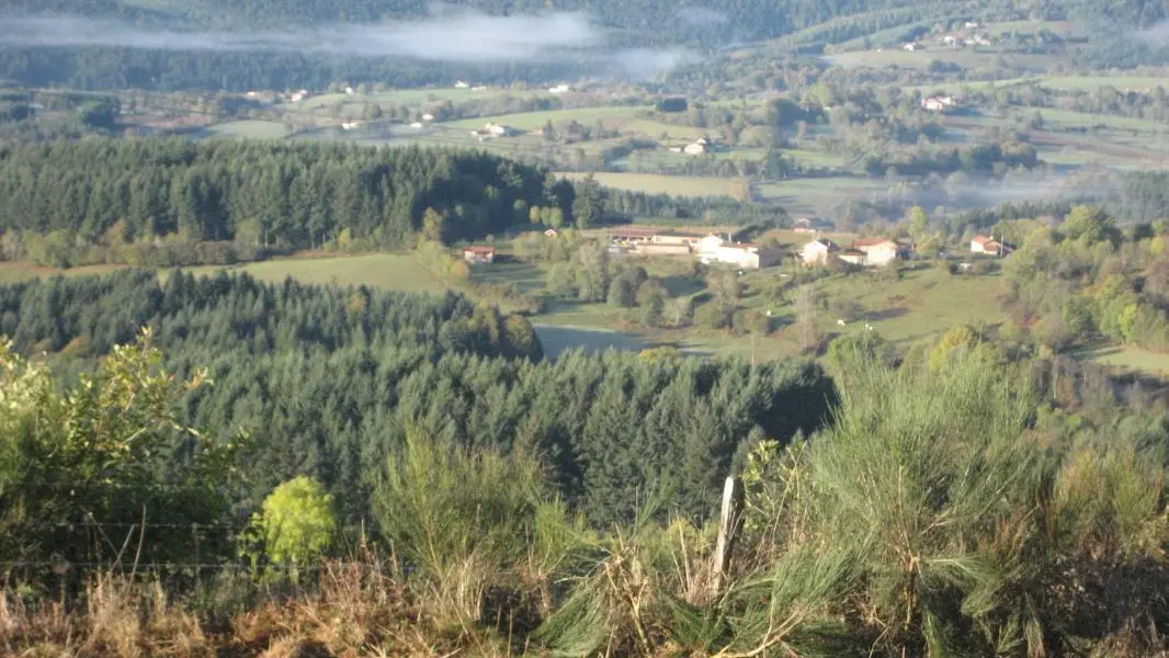 Vue d'ensemble du hameau de Brossard, avec, à l'écart,sur la droite le gîte.