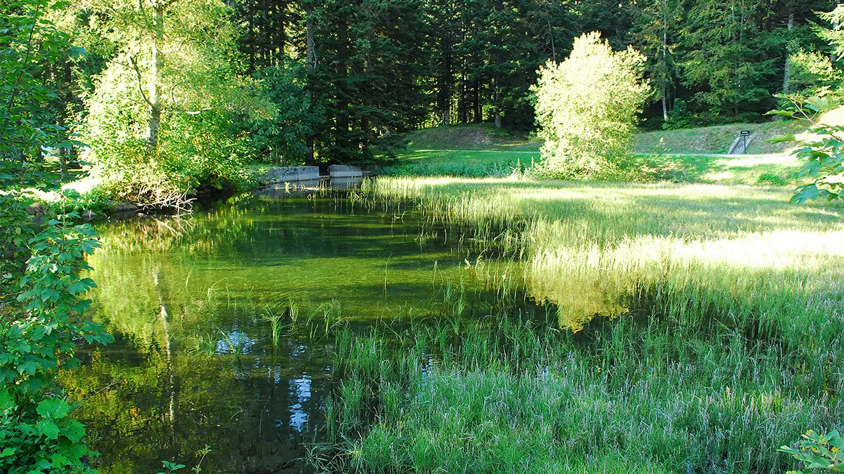 Chartreuse de Prémol