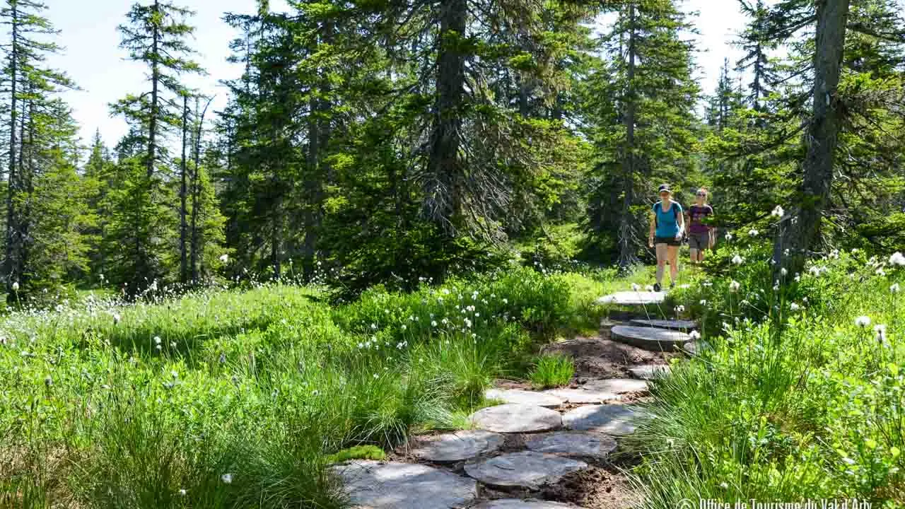 Sentier des Arpelières