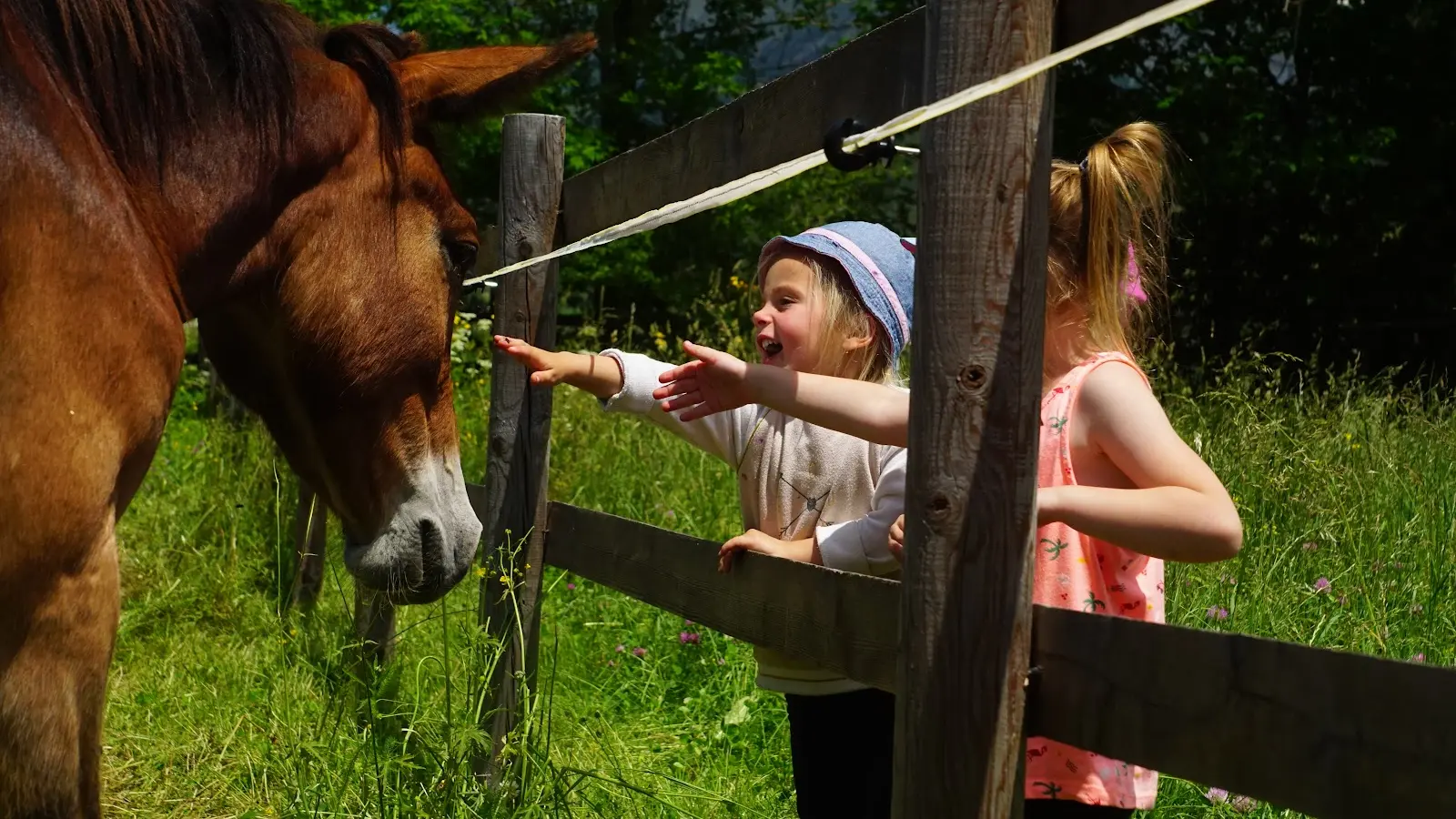 Prince et les enfants