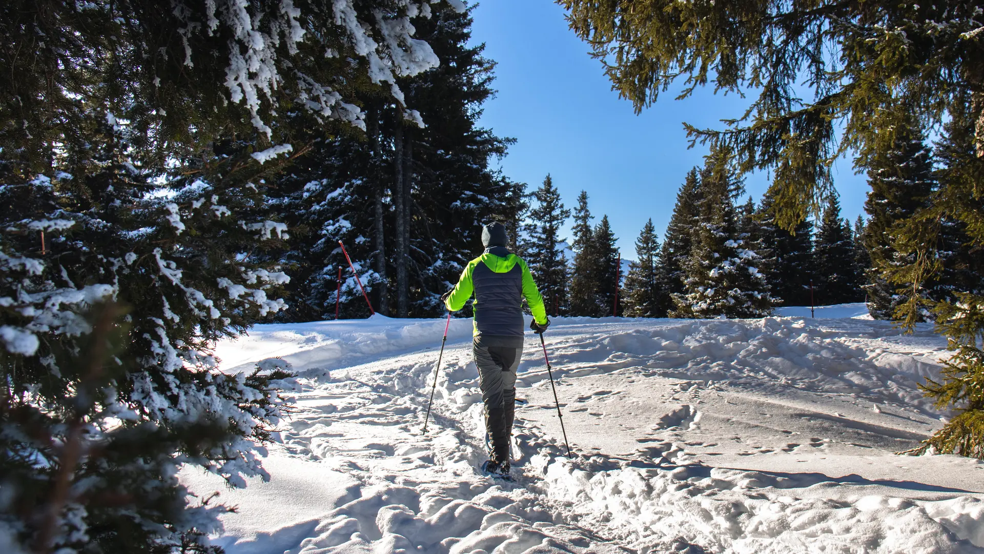 Sortie raquettes au Col de Pierre Carrée