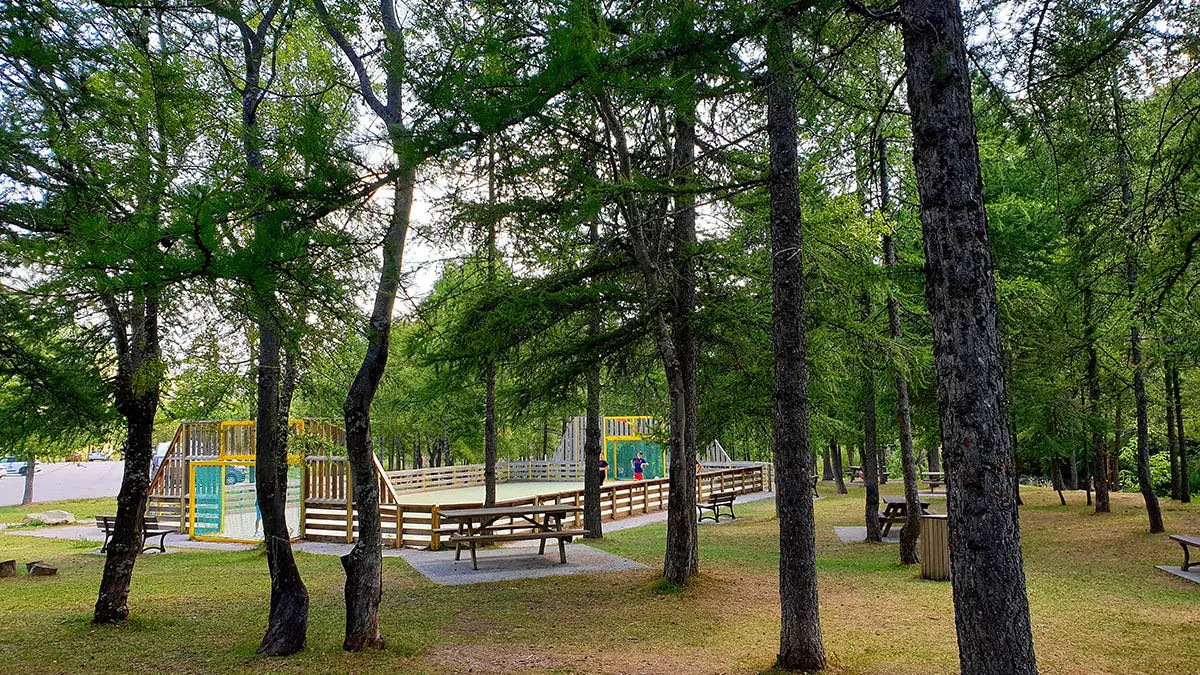 City stadium in the middle of a wooded area, enclosed football and basketball court