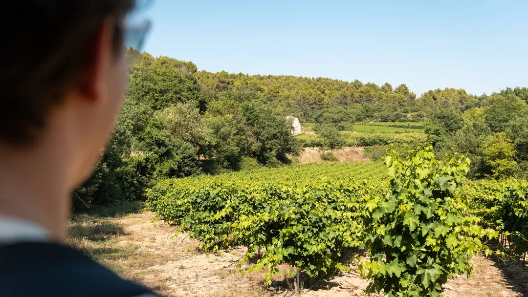 Balade la Parisienne, Velleron