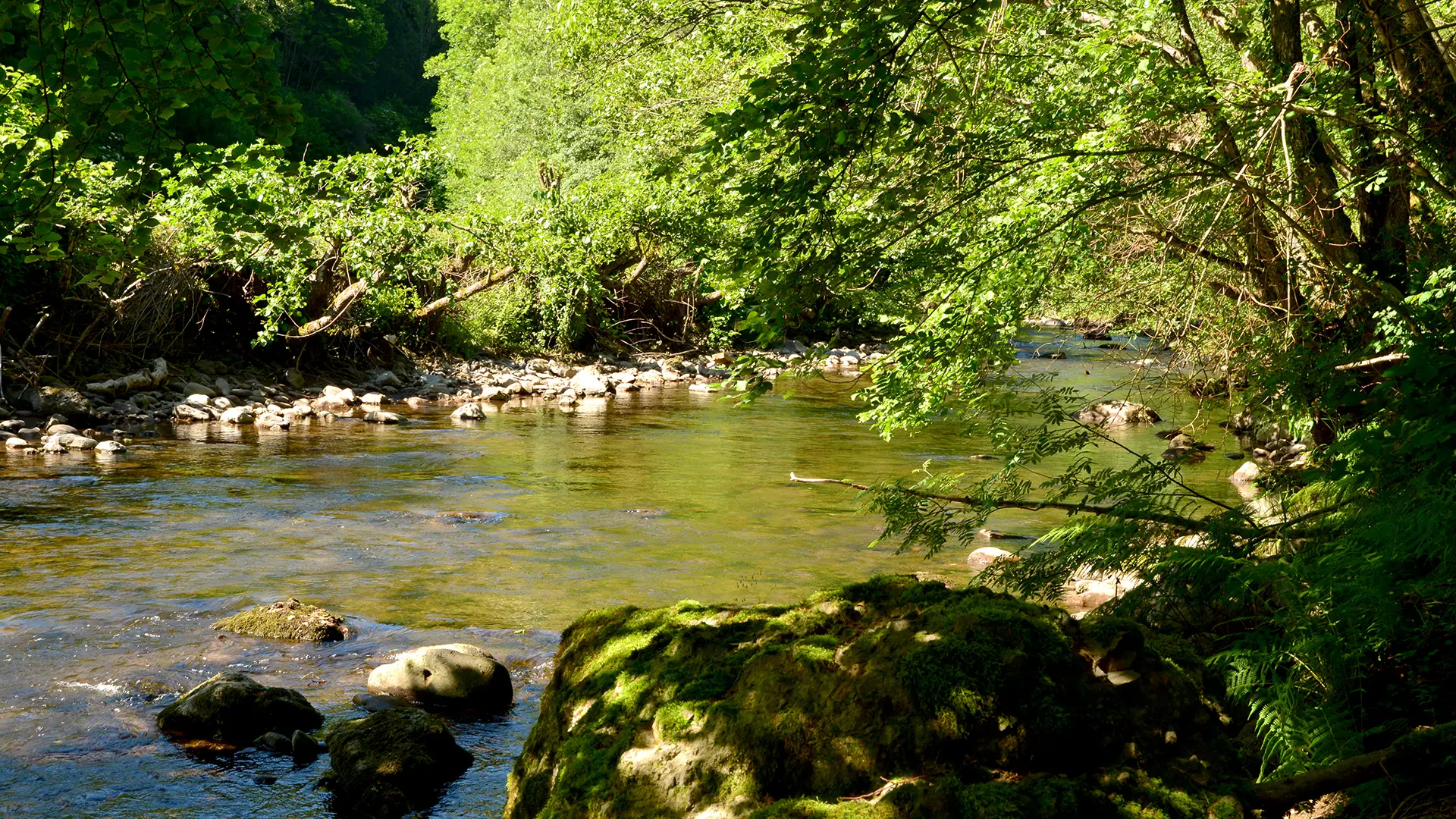 Rivière La Jordanne