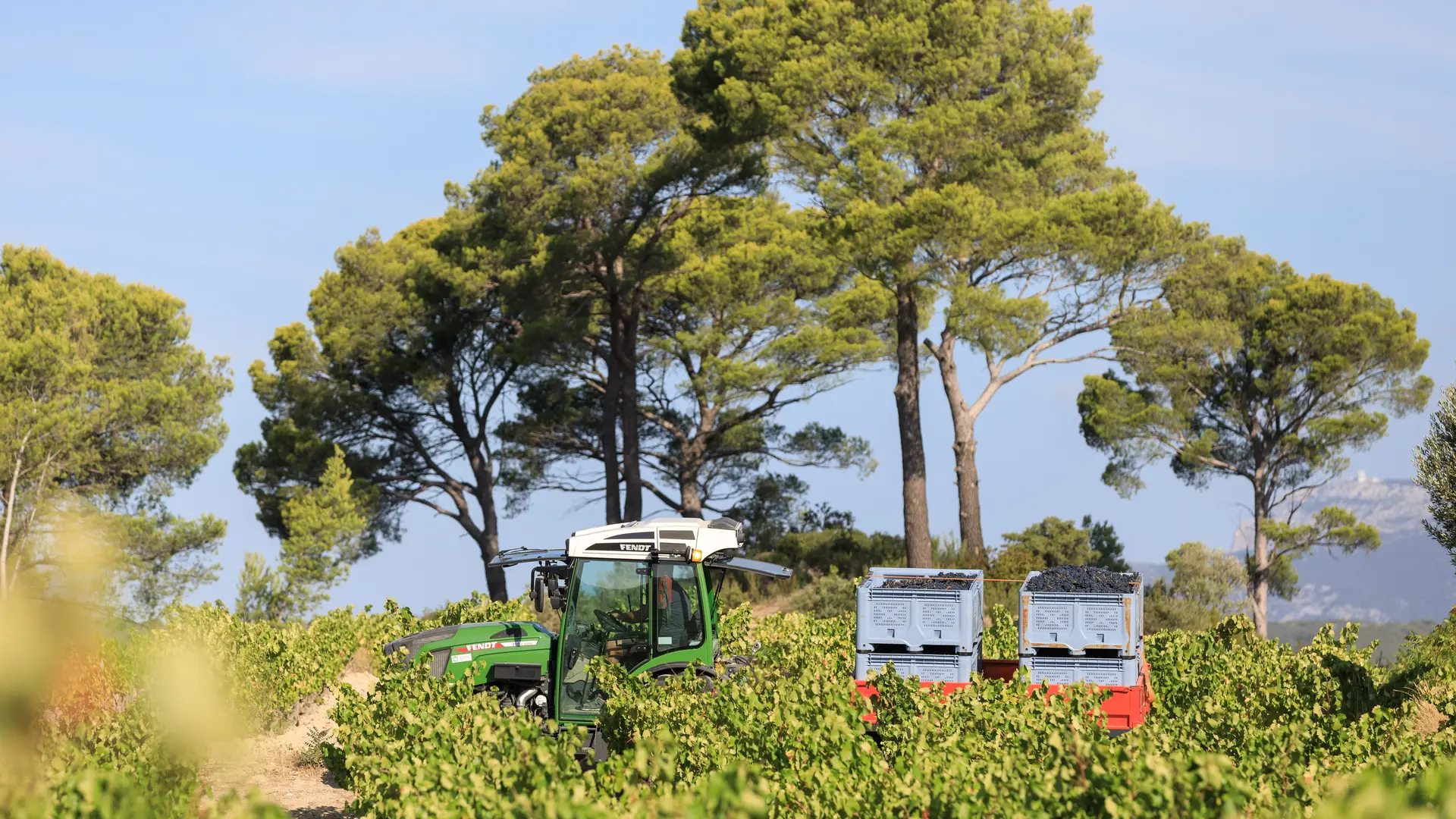 Les vignobles Gueissard