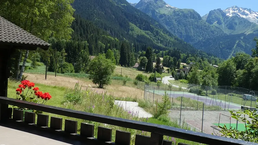 Vue de la terrasse l'été