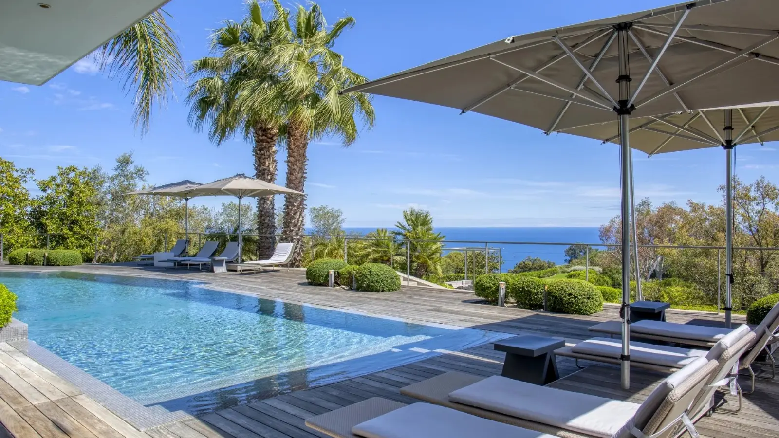 Impact Cannes_Cannes