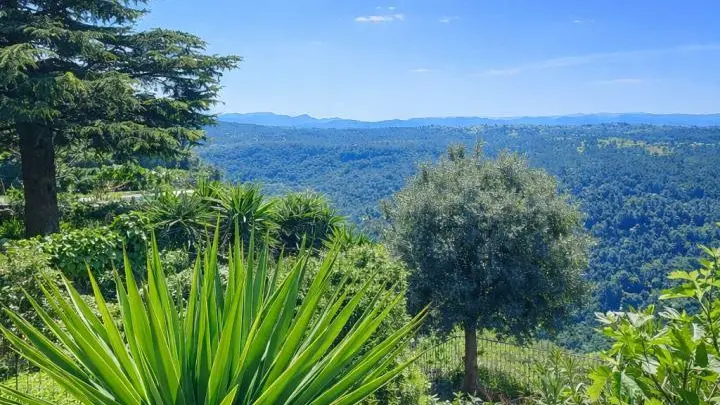Gîte le Figuier de St Cé- Vue Jardin/Terrasse -Gîtes de France Alpes-Maritimes
