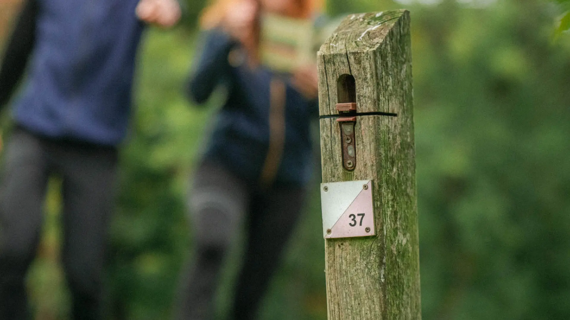 Course d'orientation