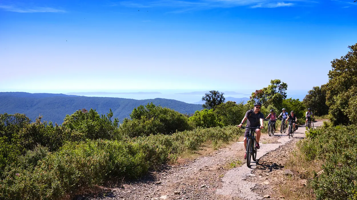 Sortie VTTAE Col du Babaou Dropbikes Rental à La Londe