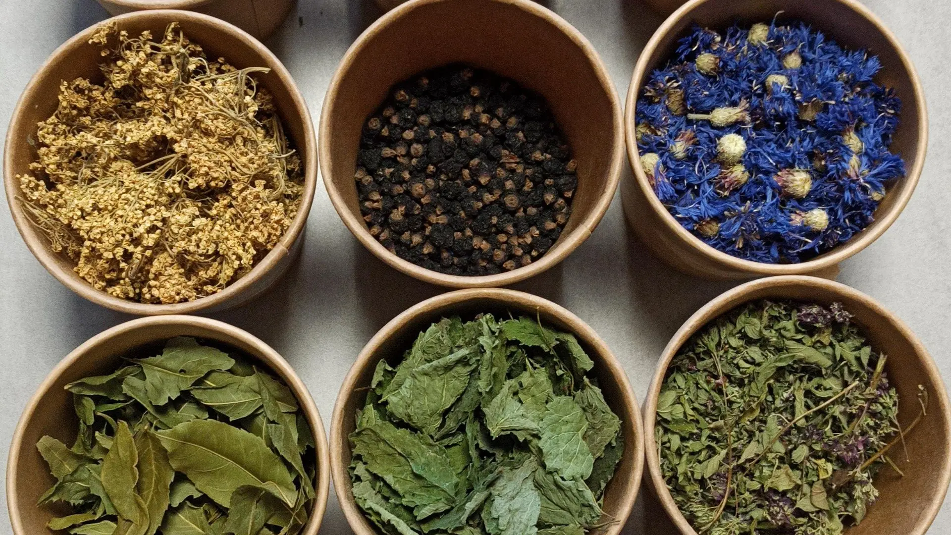 plantes sèches