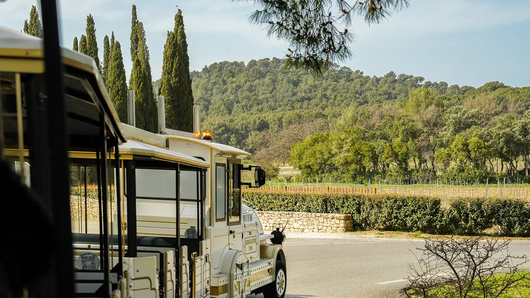 Petit train des vignes - Balade au cœur du terroir londais_La Londe-les-Maures